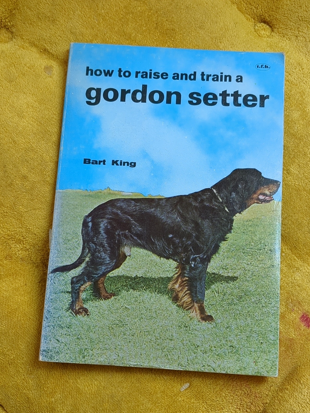 How to Raise and Train a Gordon Setter 1965 Copy